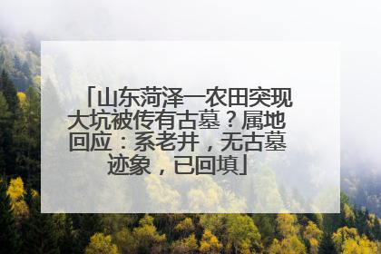 山东菏泽一农田突现大坑被传有古墓？属地回应：系老井，无古墓迹象，已回填