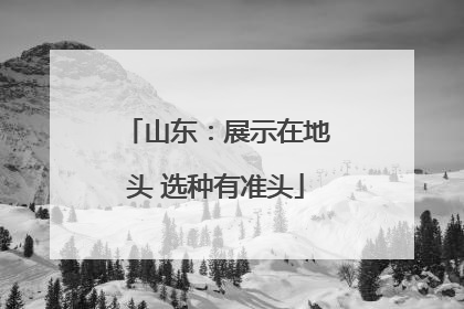 山东：展示在地头 选种有准头