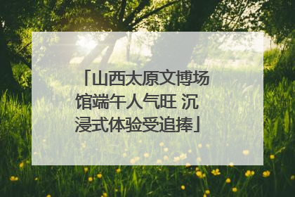 山西太原文博场馆端午人气旺 沉浸式体验受追捧