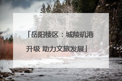 岳阳楼区：城陵矶港升级 助力文旅发展