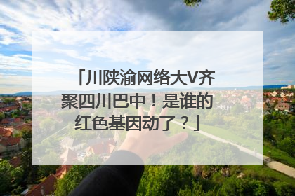 川陕渝网络大V齐聚四川巴中！是谁的红色基因动了？