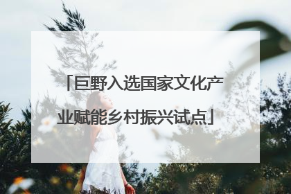 巨野入选国家文化产业赋能乡村振兴试点