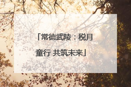 常德武陵：税月童行 共筑未来