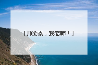 帅蜀黍，我老师！