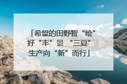 希望的田野智“绘”好“丰”景 “三夏”生产向“新”而行