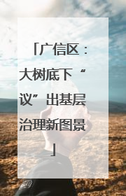 广信区：大树底下“议”出基层治理新图景