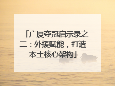 广厦夺冠启示录之二：外援赋能，打造本土核心架构