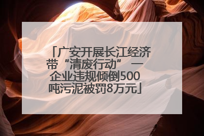 广安开展长江经济带“清废行动” 一企业违规倾倒500吨污泥被罚8万元