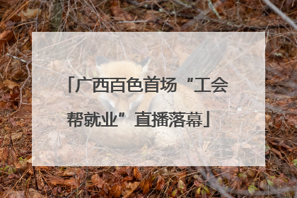 广西百色首场“工会帮就业”直播落幕