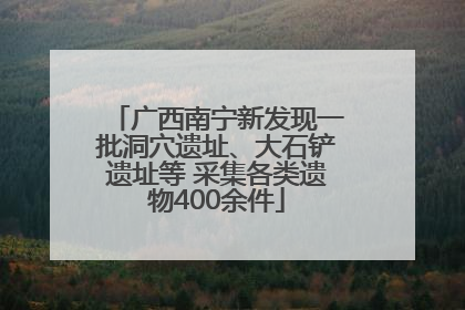 广西南宁新发现一批洞穴遗址、大石铲遗址等 采集各类遗物400余件