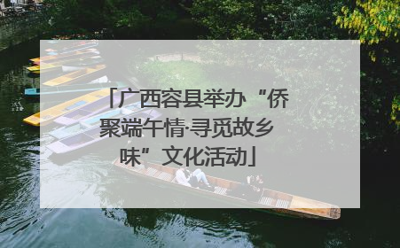 广西容县举办“侨聚端午情·寻觅故乡味”文化活动
