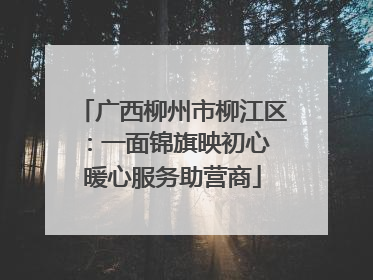 广西柳州市柳江区：一面锦旗映初心 暖心服务助营商