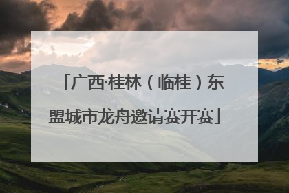 广西·桂林（临桂）东盟城市龙舟邀请赛开赛