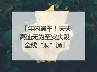 年内通车！天天高速无为至安庆段全线“洞”通
