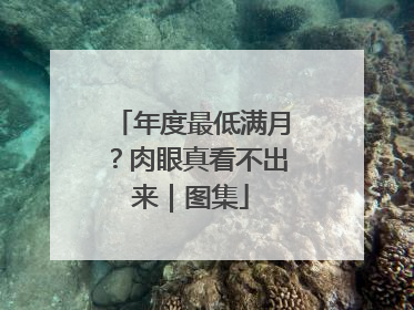 年度最低满月？肉眼真看不出来｜图集