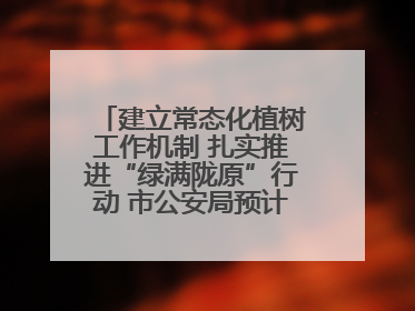 建立常态化植树工作机制 扎实推进“绿满陇原”行动 市公安局预计年底前完成1402亩绿化任务