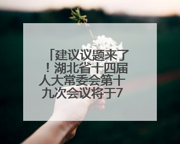 建议议题来了！湖北省十四届人大常委会第十九次会议将于7月召开