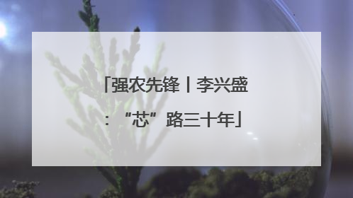 强农先锋丨李兴盛：“芯”路三十年