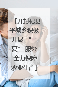 开封杞县平城乡积极开展 “三夏” 服务 全力保障农业生产