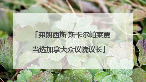 弗朗西斯·斯卡尔帕莱贾当选加拿大众议院议长