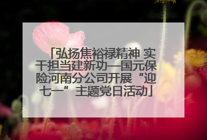 弘扬焦裕禄精神 实干担当建新功—国元保险河南分公司开展“迎七一”主题党日活动