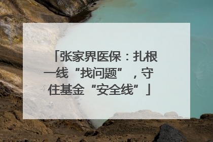 张家界医保：扎根一线“找问题”，守住基金“安全线”