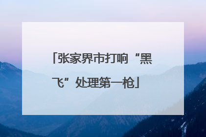 张家界市打响“黑飞”处理第一枪