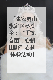 张家界市永定区桥头乡：“手挽春苗，心耕田野”春耕体验活动