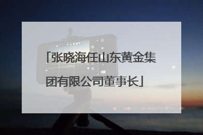 张晓海任山东黄金集团有限公司董事长