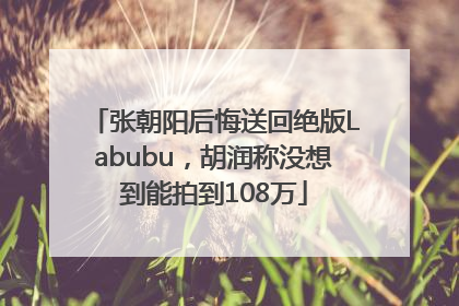 张朝阳后悔送回绝版Labubu，胡润称没想到能拍到108万