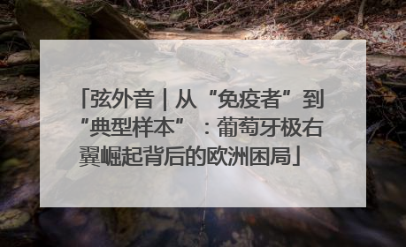 弦外音｜从“免疫者”到“典型样本”：葡萄牙极右翼崛起背后的欧洲困局