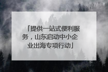 提供一站式便利服务，山东启动中小企业出海专项行动