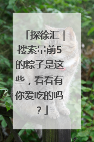探徐汇｜搜索量前5的粽子是这些，看看有你爱吃的吗？