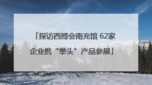 探访西博会南充馆 62家企业携“拳头”产品参展