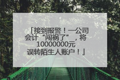 接到报警！一公司会计“闯祸了”，将10000000元误转陌生人账户！