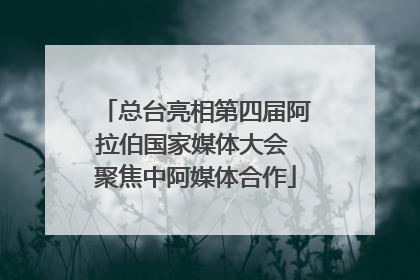 总台亮相第四届阿拉伯国家媒体大会 聚焦中阿媒体合作