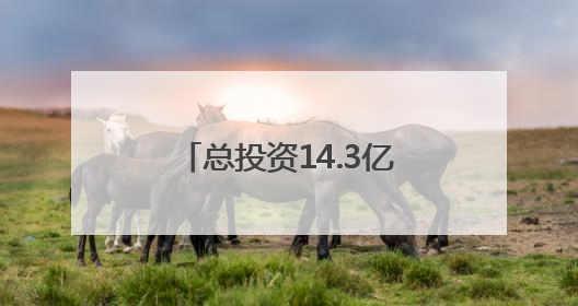 总投资14.3亿元！双子塔造型！泉州一项目有新进展