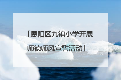 恩阳区九镇小学开展师德师风宣誓活动