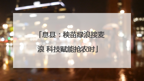 息县：秧苗绿浪接麦浪 科技赋能抢农时