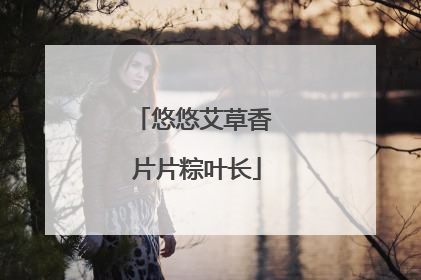 悠悠艾草香 片片粽叶长