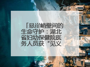 悬崖峭壁间的生命守护：湖北省妇幼保健院医务人员获“见义勇为”表彰