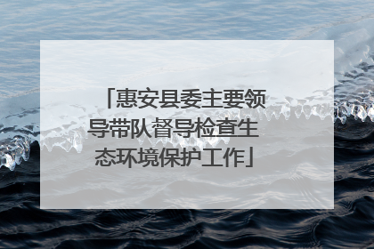 惠安县委主要领导带队督导检查生态环境保护工作