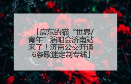 房东的猫“世界/青年”演唱会济南站来了！济南公交开通6条歌迷定制专线