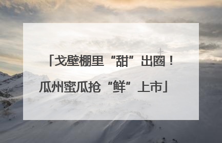 戈壁棚里“甜”出圈！瓜州蜜瓜抢“鲜”上市