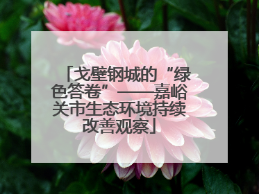 戈壁钢城的“绿色答卷”——嘉峪关市生态环境持续改善观察