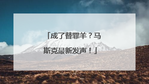 成了替罪羊？马斯克最新发声！