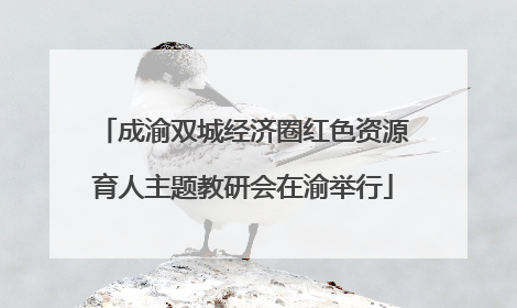 成渝双城经济圈红色资源育人主题教研会在渝举行