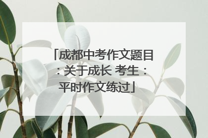 成都中考作文题目：关于成长 考生：平时作文练过