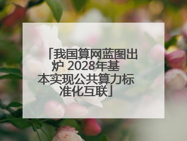 我国算网蓝图出炉 2028年基本实现公共算力标准化互联