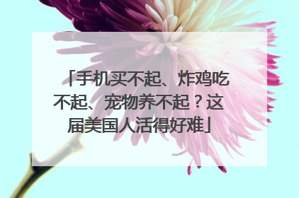 手机买不起、炸鸡吃不起、宠物养不起？这届美国人活得好难